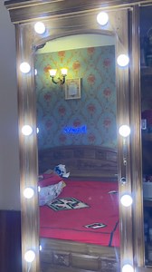 Vanity Makeup Mirror Bulbs 10Bulb Set with 3 Colors in a set! #mirrorbulb #makeuplight #vanitysetup #vanitymirror #mirrorlight #diy #colorqo #ledlights #RGBlamp | ColorQo.com.bd