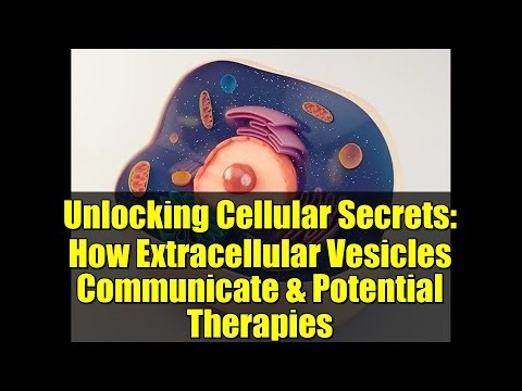 Unlocking Cellular Secrets: How Extracellular Vesicles Communicate & Potential Therapies