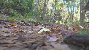 Maine program funds projects for trail design and development
