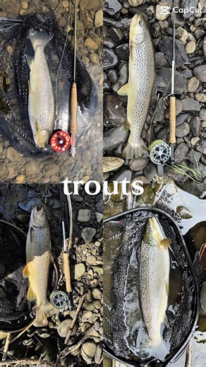 Fly Fishing Nymph Memories: Brown & Rainbow Trout