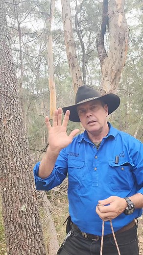 38K views · 1K reactions | 5 FAST Bowline knots using ONE foolproof technique. Snap Bowline How to tie the foolproof Snap Bowline in 5 useful applications using just 1 tying method. never get it wrong again. #outdooracademyaustralia #fyp #survival #bushcraft #knots #bowline #rescue #rope #hiking #craft #outdoor #outdoors #outdoorlife #prepper #thegreatoutdoors #bushwalks #4x4 #australia #woodsman #bushman #bushwalking #how #howto #trucker #truckie #hitch | Outdoor Academy | Facebook