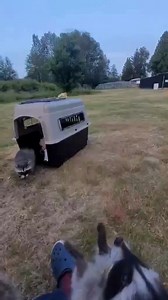 5.8K views · 255 reactions | Ever heard of "creeking"? It’s what we...