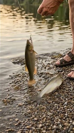Realistic Fishing Scene 🎣 | Two Fish Jumping on Shore in Slow Motion