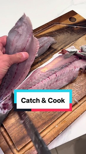 Catch and Cook: Enjoying Fresh Bluefish Lunch