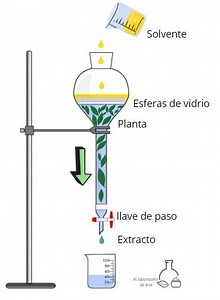 ¿Cómo preparar extractos vegetales empleando solventes? - El Laboratorio de Eve