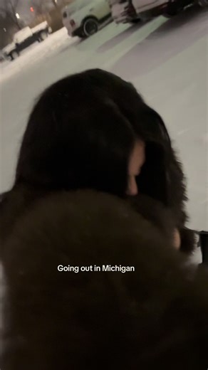 Experiencing the Blizzard in Michigan