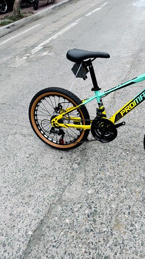 PROMAX PM5 3X7 Mini MTB 20er - Affordable, Quality MTB Bike