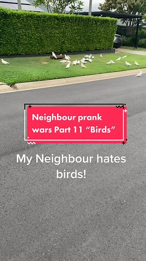 Neighbour Prank Wars: Bird Feeder Shenanigans