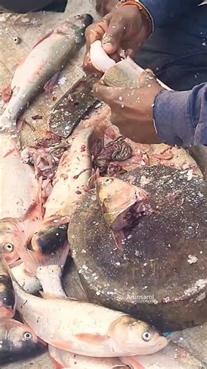 SILVER FISH CUTTING/Arunsaroj #shortvideo #fish #fishing #shorts #trending #food #viralreels #fish