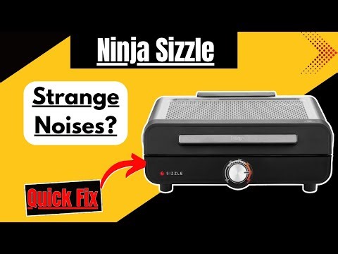 Ninja Sizzle Making Strange Noises? We Can Fix That