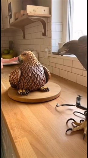 What starts as a simple kitchen moment becomes a viral-worthy scene when a woman tries cutting into a Golden Eagle–shaped cake. The real eagle nearby loses control, thinking she’s hurting another bird. Wings flap, camera shakes, and chaos fills the room — until the woman lifts a slice to show it’s just cake. The bird’s confused head tilt is the perfect ending. A beautifully captured mix of humor, realism, and authentic animal behavior. #foryoupagereels #homereels #cute #CCTV #cake #Eagles | Usma