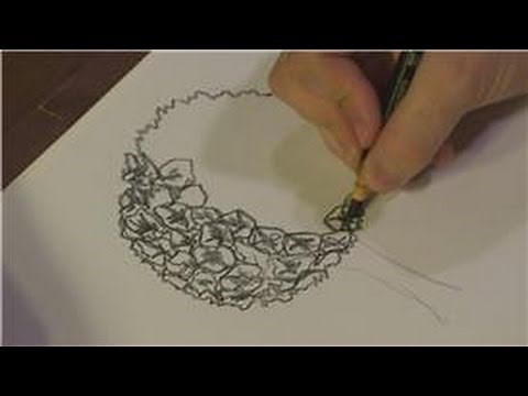 Drawing Plants & Flowers : How to Draw Hydrangeas
