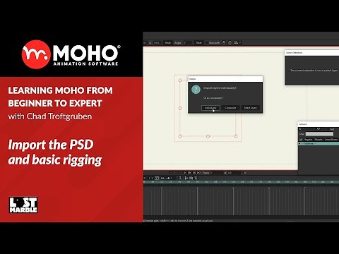Part 6/38. Import the PSD and basic rigging - Learning Moho from beginner to expert