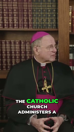 A non-Catholic baptism done by non Catholics is itself sinful. #catholicism #romancatholicmedia