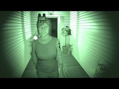 Phasmophobia - Tiffin The Angry Cat