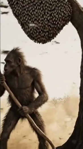 Life 2 Million Years Ago | Homo habilis vs the Swarm of Giant Locusts#prehistoriclife