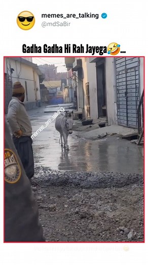 Inspection officer checking quality😅... | Memes Are Talking