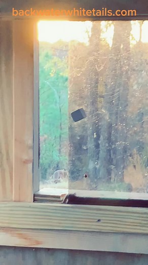 Takes my breath every time 😱 #whitetail #huntinglodge #ky #retreat #deerhunt #foryoupage #fyp #foryou #country