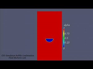 Single Bubble Condensation with OpenFOAM