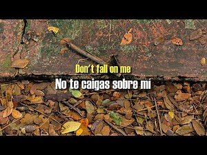 R.E.M. - Fall On Me (Subtítulos en Ingles y Español)
