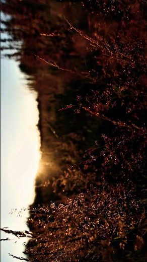 Ludovico Einaudi - Una Mattina (Movie: The Intouchables) Best CINEMATIC AND ATMOSPHERIC MUSIC