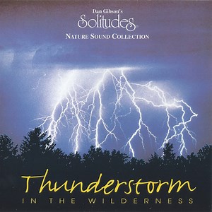Dan Gibson - Thunderstorm In The Wilderness