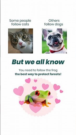 Follow the frog!