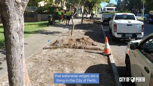 As part of Tree Month, we’re greening our City and transforming verges into waterwise gardens that support our native fauna 🐝 🌱 You can learn how to transform your own verge into a native sanctuary at our free workshop on Friday, 2pm at Council House: https://visitperth.com/events/tree-month-information-sessions-in-the-city-of-perth Or, have a look at our handy Verge Management Guidelines: https://fal.cn/3y4XF | City of Perth