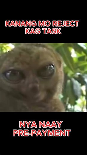 Diba guba project 😅 #reelsvideoシ #reelsviralシ #reelsfbシ #Remotask #LiDAR #remotasker | Charles Pis-an Caro