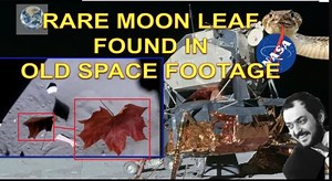 368K views · 4.9K reactions | With all that's going on in the world,...