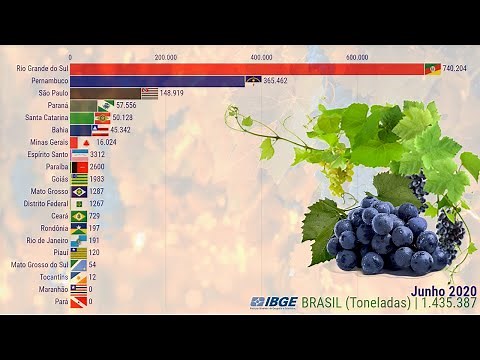 Os Maiores Produtores de Uvas do Brasil