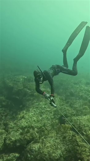 Ultimate Spearfishing Adventure: Catching Big Fish