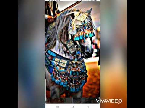 ركب وديرني حداك حجيب