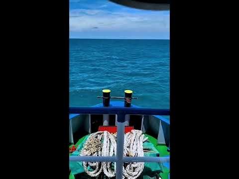 Peaceful Ocean Journey | Calming Ship Ambience and Nature Sounds for Sleep, Focus and Relaxation