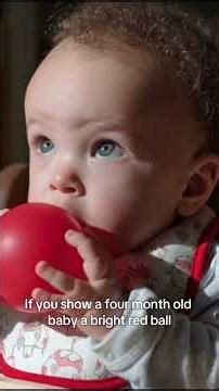 The sensory motor stage babies learn the world exists through their senses