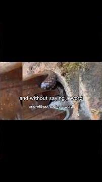 We Shrink-Wrapped A Thief And The Cops Couldn't Stop Laughing