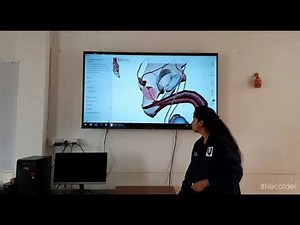 Experiment No. 03 ( To study reproductive system in detail) of HAP II