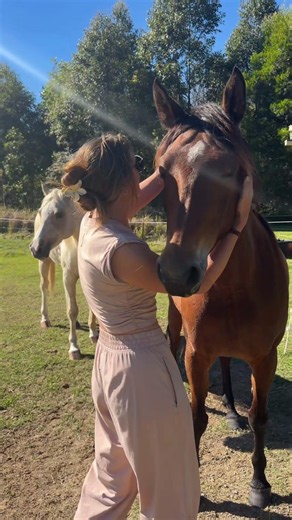 The reality of being away from the horses but they’ve been well looked after so dont really miss you