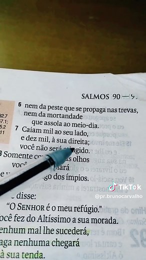 Salmos 91 completo 🙌 #salmo91 #palavradodia #versiculosdodia #bibliasagradada