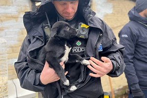 Bosses of a Staffordshire animal rescue centre to face ten day trial over cruelty charges - here's when
