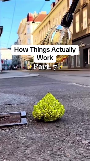 Like and Follow 😳🌎 #howthingswork #howthingsactuallywork #universe