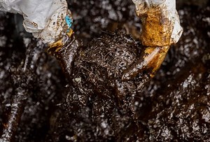 With pails and mugs, Philippine residents clean up oil spill