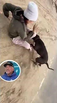 Pitbulls Banned in India