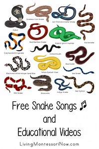 Free Snake Songs and Educational Videos - Living Montessori Now