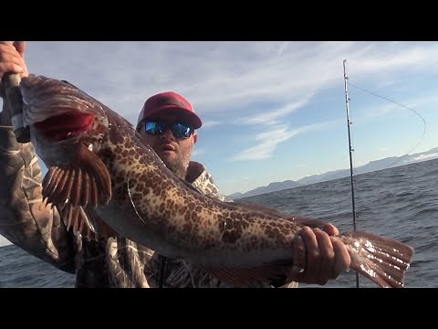 LINGCOD FISHING Vertical Jigging Vancouver Island (Part 1)