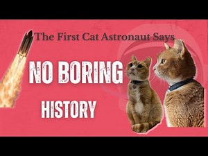 Félicette The First Cat in Space 1963