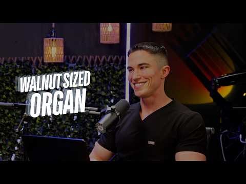 Let’s talk Prostate Health