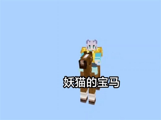 我骑着妖猫的宝马起飞了