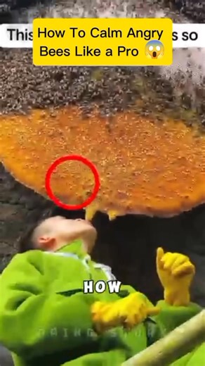 How To Calm Angry Bees Like a Pro  #BeekeepingTips #CalmTheBees #BeeWhisperer #BeekeeperLife #BeeTamer #HoneybeeCare #BeeHandling #BuzzControl #Beekeeping101 #ProBeekeeper | John Mathew Gile | Facebook