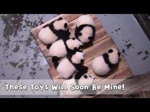 Maybe You Need A Helper Like Me! | iPanda